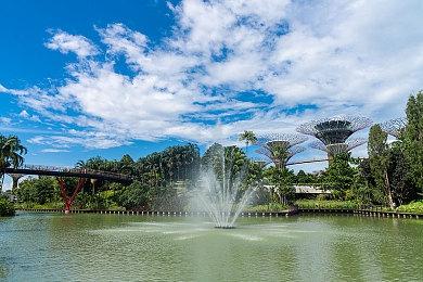 猫猫动作冒险游戏《流浪猫》现已登录Steam平台 2024年第三季度推出