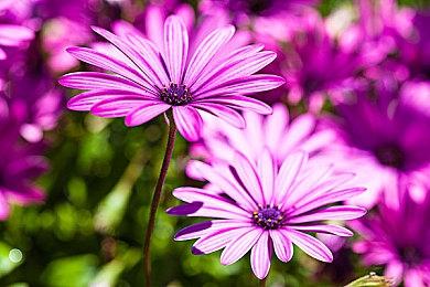 温柔甜美女机器人 《原子之心》分享娜塔莎概念图